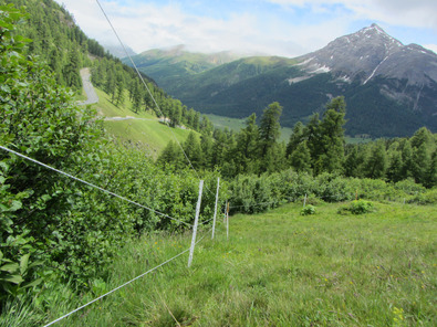 (c) Agroscope Parchi di piccole dimensioni