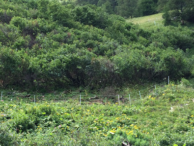 (c) Agroscope Überdüngte Flächen