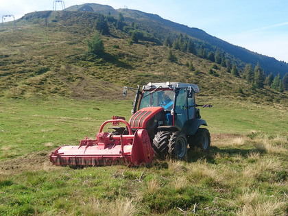 Traktor mit Mulchaufsatz