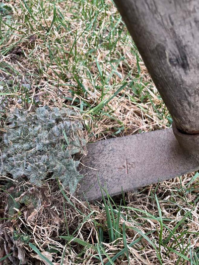 (c) Büro Alpe Colpo di zappa