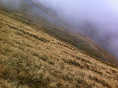 (c) Agridea Nardeto puro