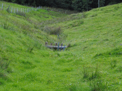 (c) AGRIDEA, Büro Alpe, FiBL, Agroscope Stazione umida, adatta allo sviluppo dei giunchi